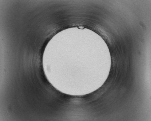 X0000116030362200912312217