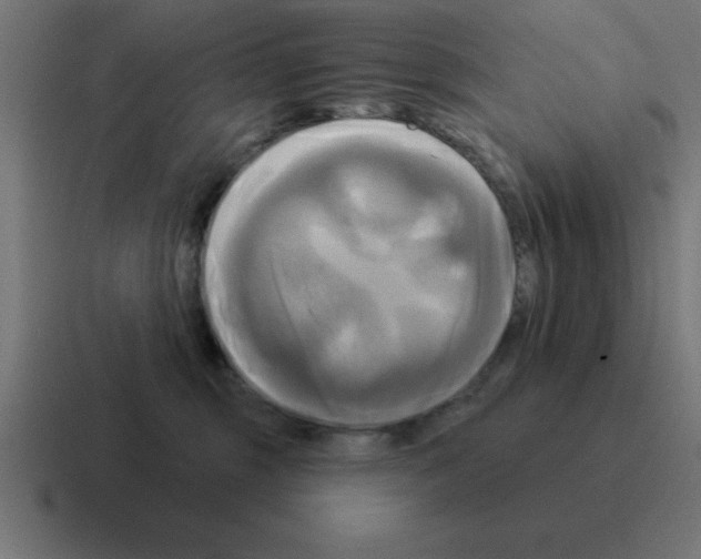 X0000116030375200912312217