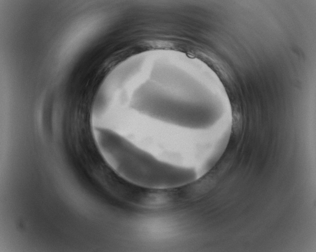 X0000116030381200912312217