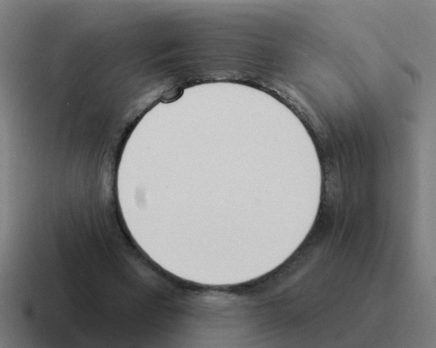 X0000116030393200912312216