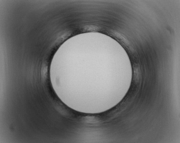 X0000116030406200912312216