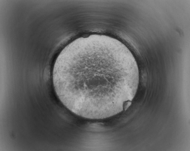 X0000116030407200912312216