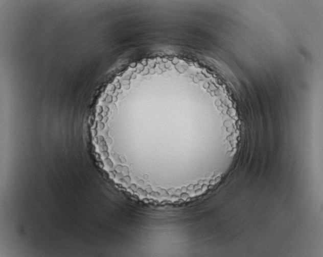 X0000116030409200912312216