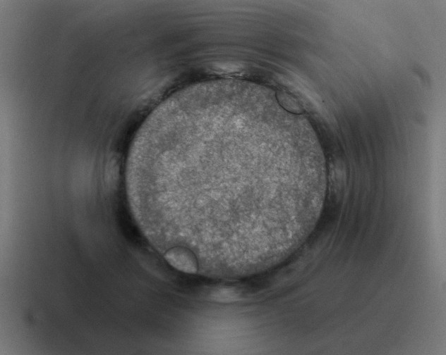 X0000116030412200912312216