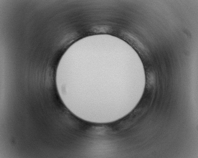 X0000116030414200912312216