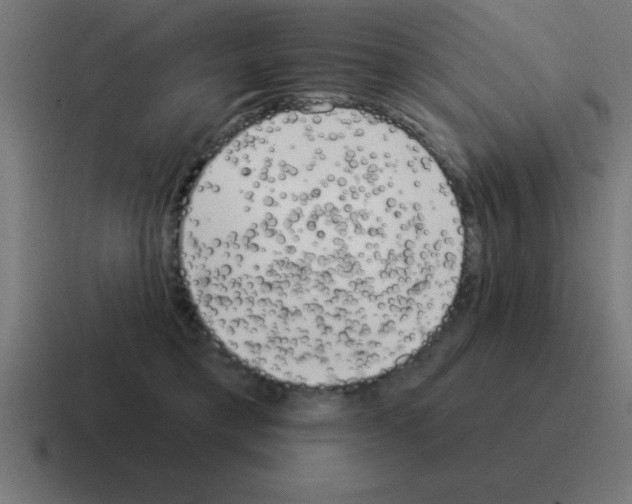X0000116030421200912312216