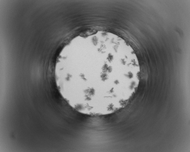 X0000116030425200912312216