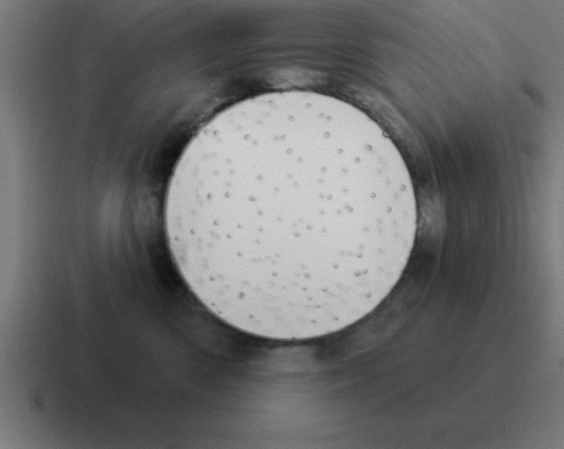 X0000116030426200912312216