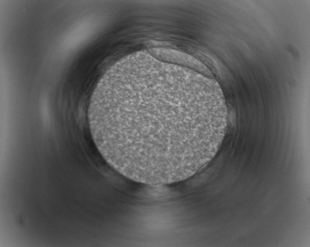 X0000116030429200912312216