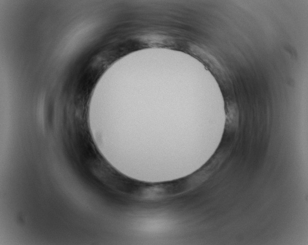 X0000116030430200912312216