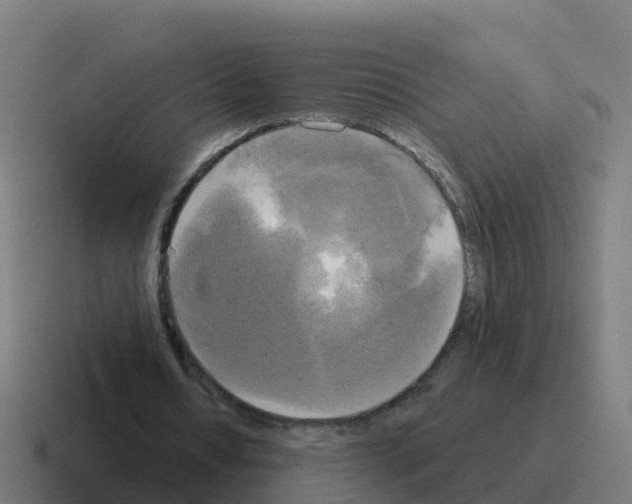 X0000116030434200912312215