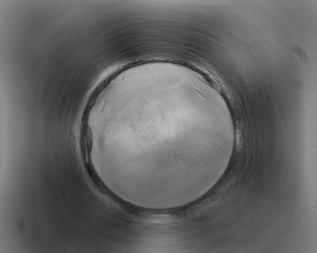 X0000116030438200912312215