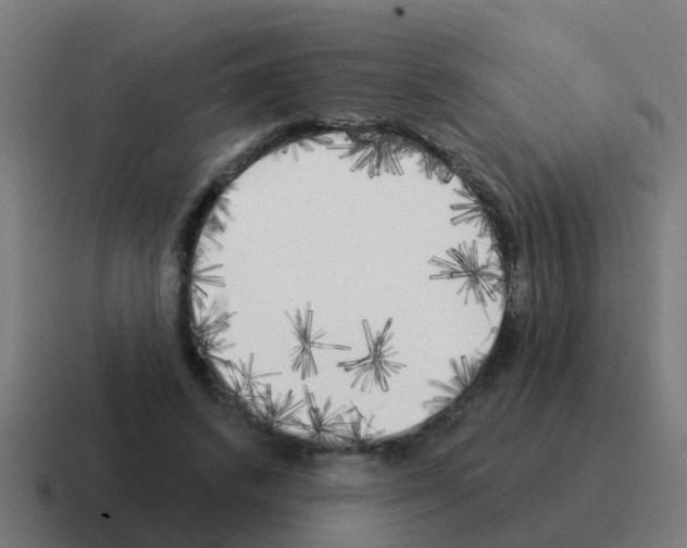 X0000116030448200912312216