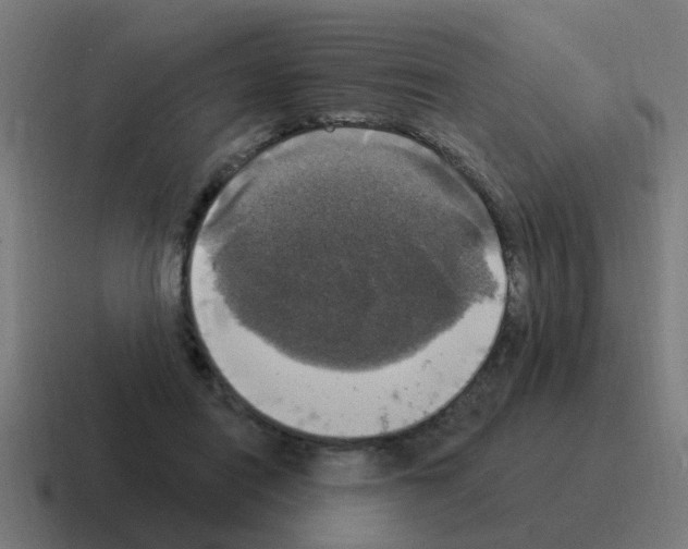 X0000116030454200912312216