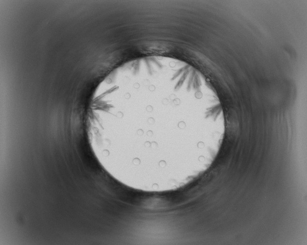 X0000116030460200912312216