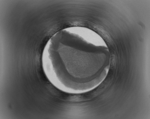 X0000116030461200912312216