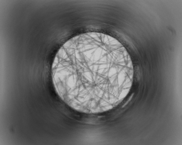 X0000116030463200912312216