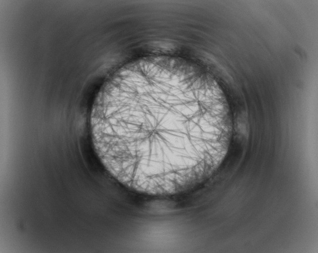 X0000116030468200912312216