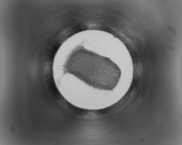 X0000116030475200912312216