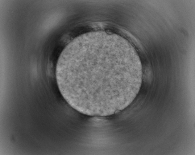X0000116030477200912312216