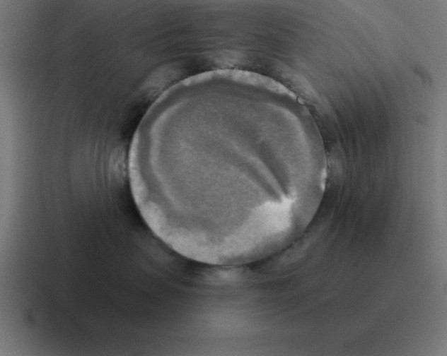 X0000116030479200912312216