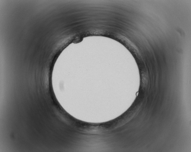 X0000116030493200912312215
