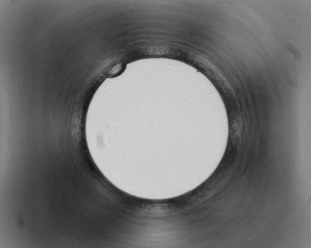 X0000116030497200912312215