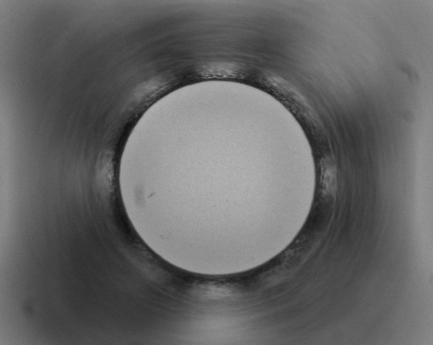 X0000116030498200912312215