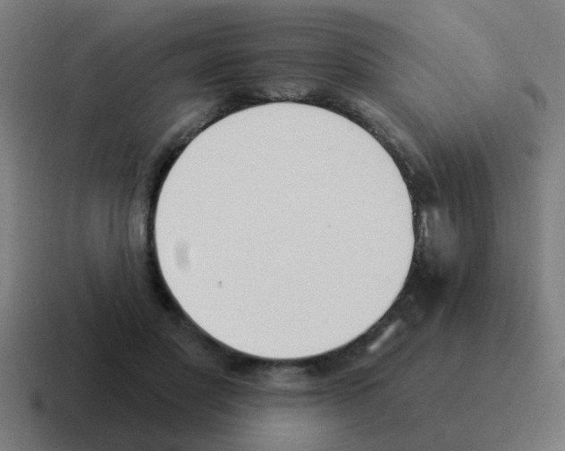X0000116030501200912312215