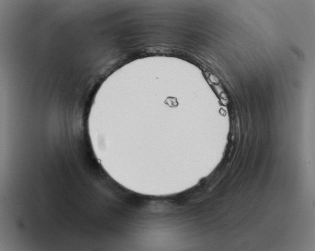 X0000116030508200912312215