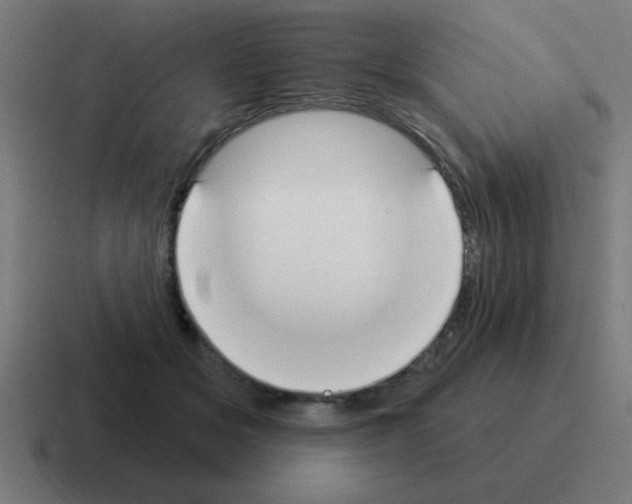 X0000116030509200912312215