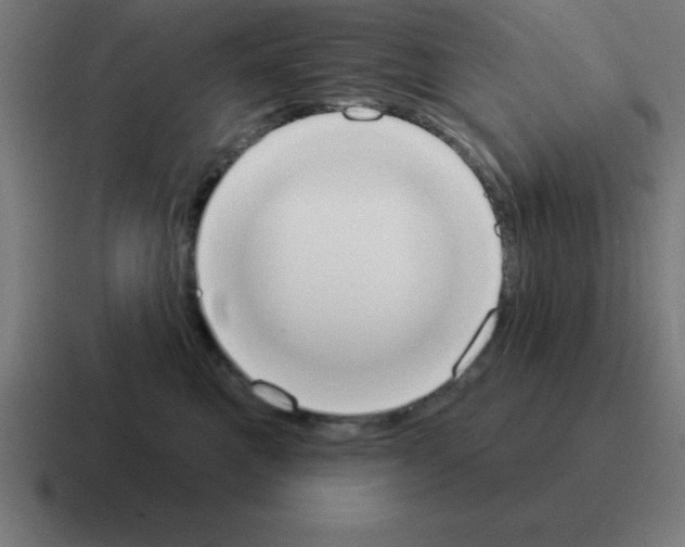 X0000116030521200912312215