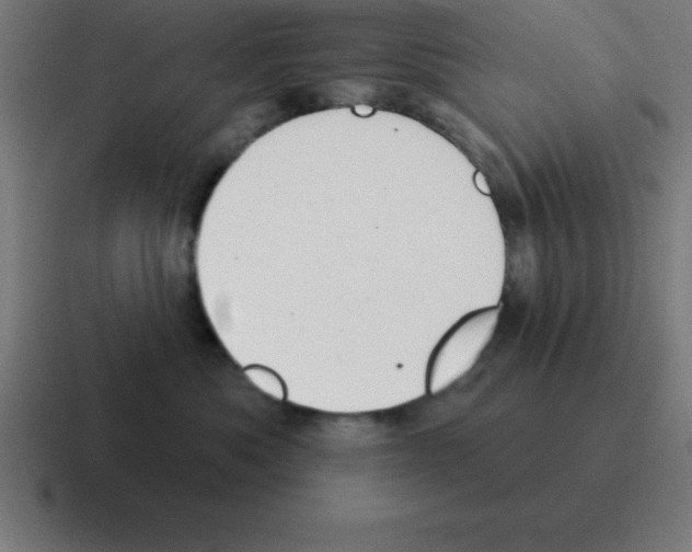 X0000116030525200912312215