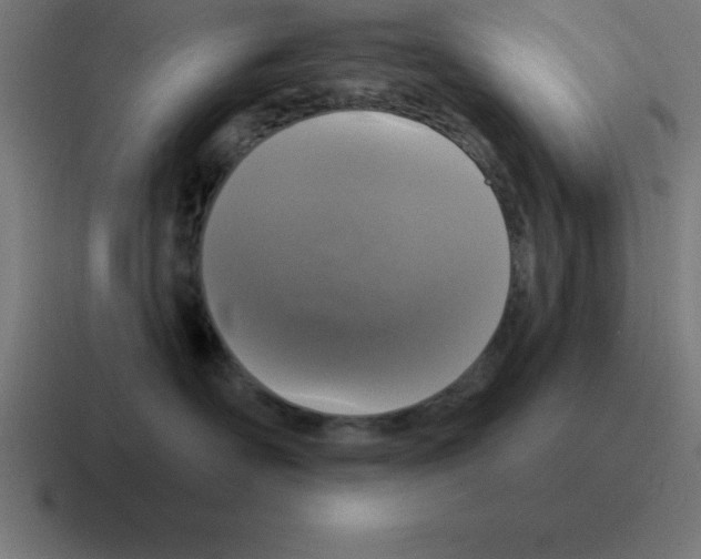 X0000116030526200912312215