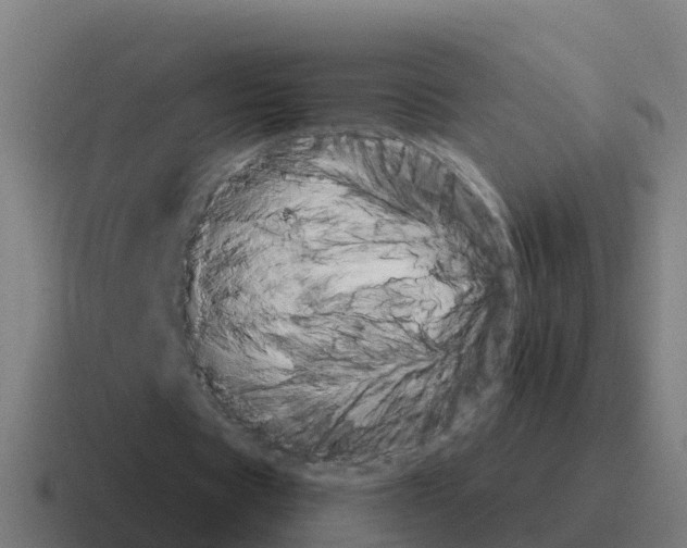 X0000116030529200912312214