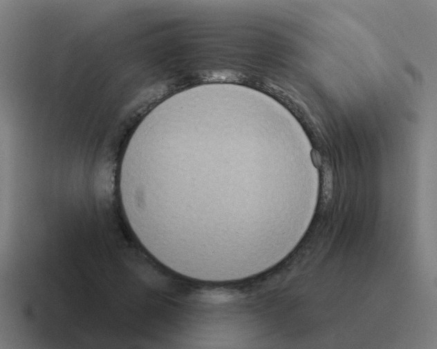 X0000116030545200912312214