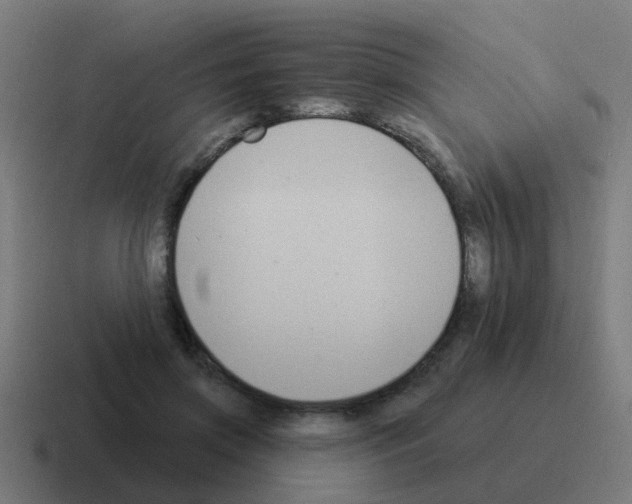 X0000116030549200912312214