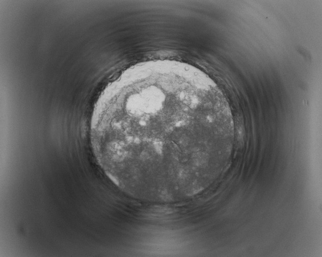 X0000116030555200912312214