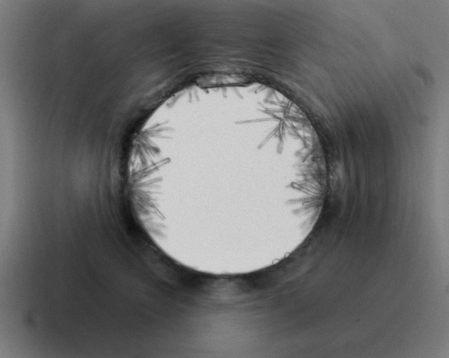 X0000116030566200912312215