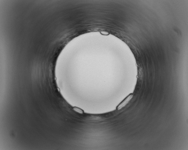 X0000116030570200912312215