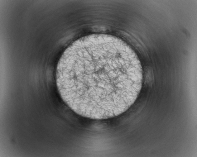 X0000116030616200912312214