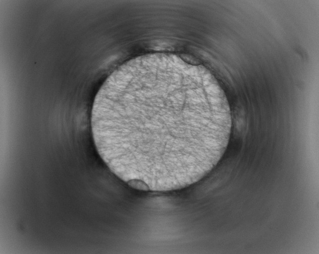 X0000116030620200912312214
