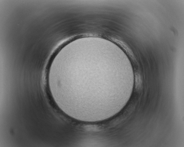 X0000116030628200912312213