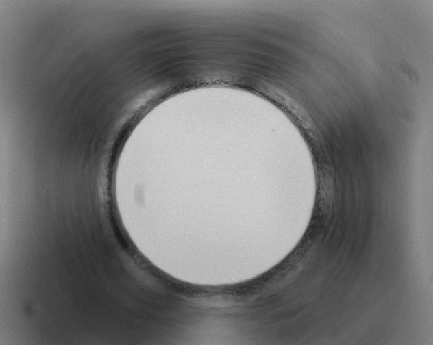X0000116030629200912312213