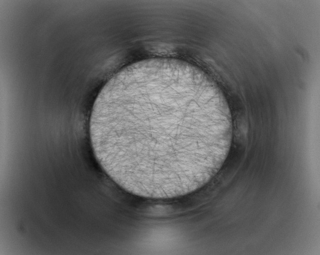 X0000116030658200912312213
