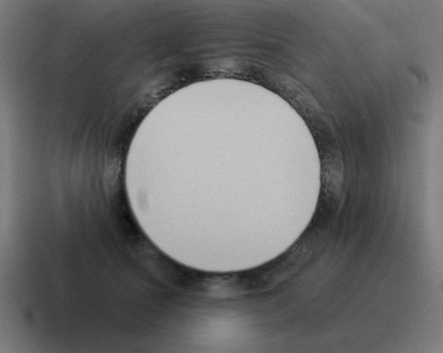 X0000116030660200912312213