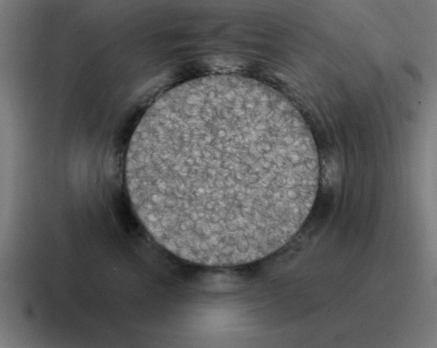 X0000116030666200912312213