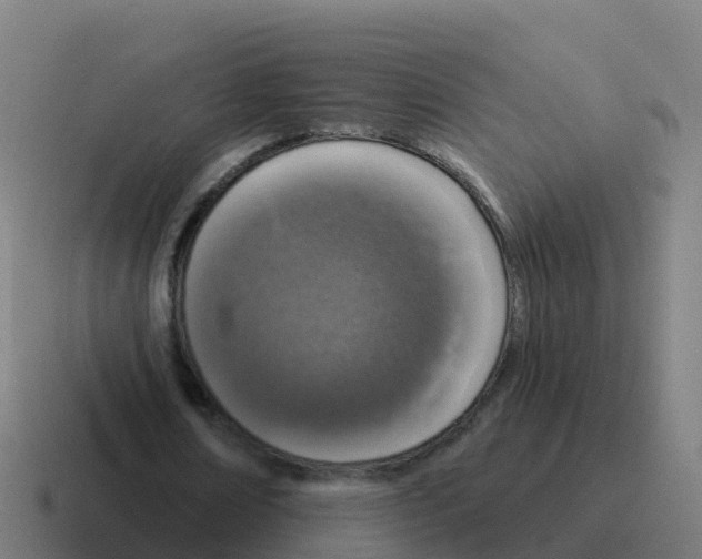 X0000116030674200912312213