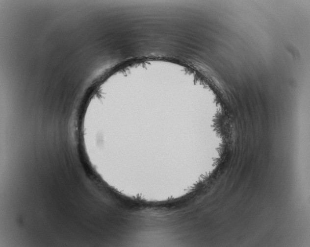 X0000116030680200912312213