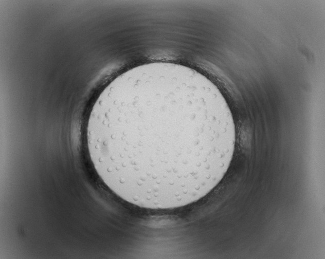 X0000116030686200912312213